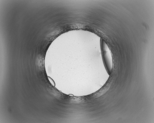 X0000115670624200912101113