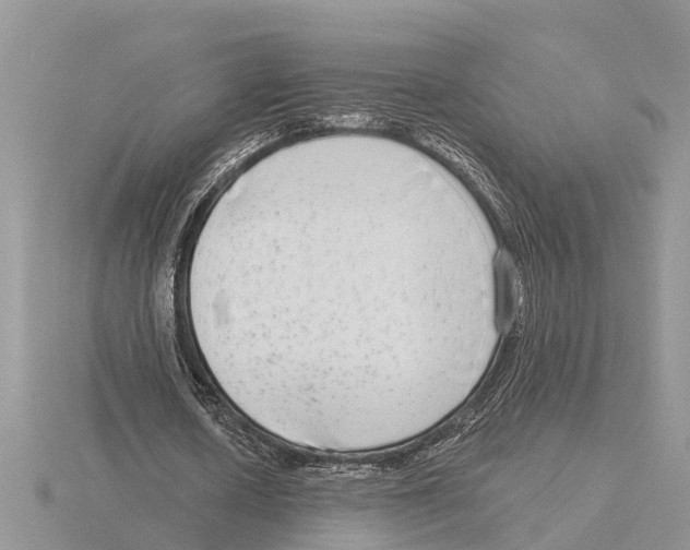 X0000115670626200912101113