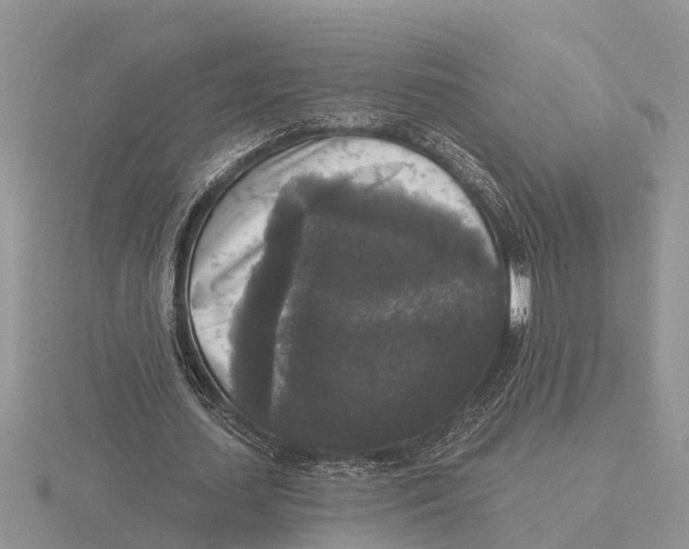 X0000115670627200912101113