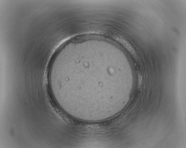 X0000115670628200912101113