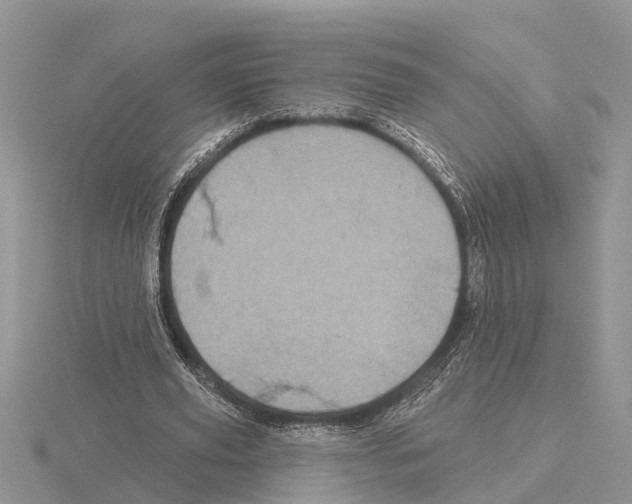 X0000115670629200912101113