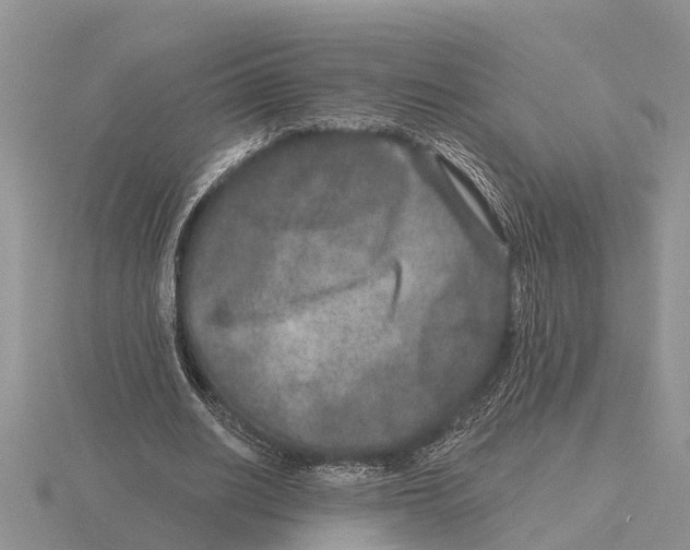 X0000115670630200912101113