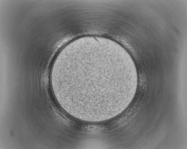 X0000115670632200912101113