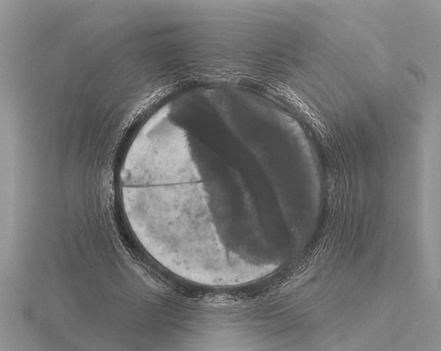 X0000115670634200912101113