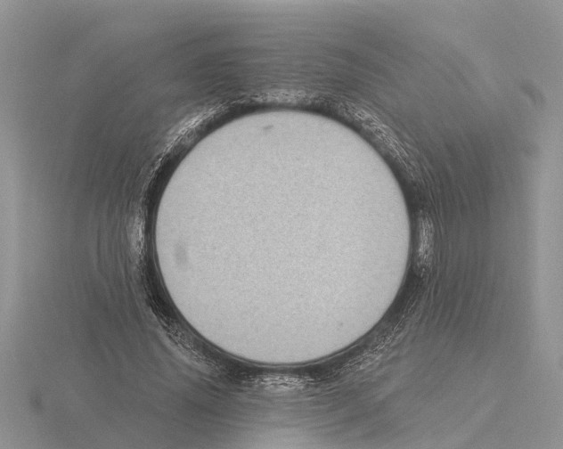 X0000115670636200912101113