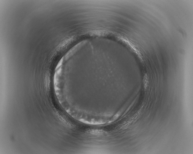 X0000115670637200912101113