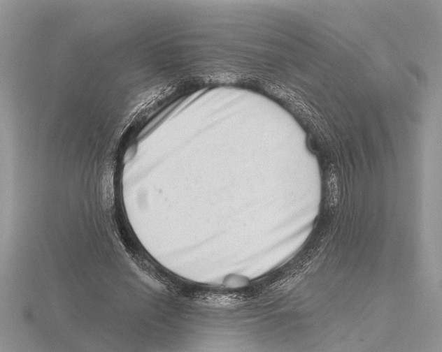 X0000115670638200912101113