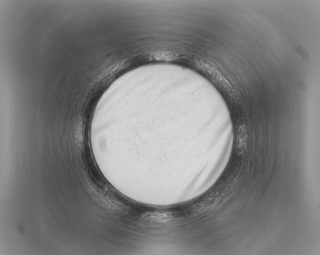 X0000115670639200912101113