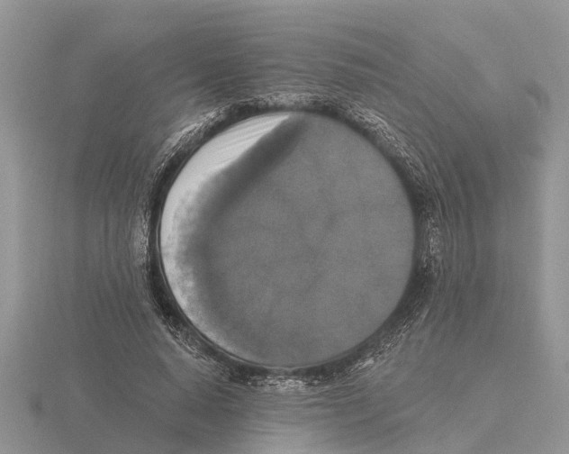 X0000115670640200912101113