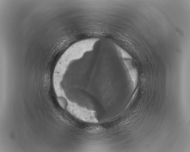 X0000115670642200912101113