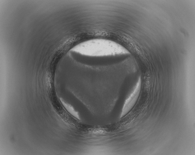 X0000115670643200912101113