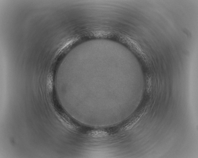 X0000115670644200912101113