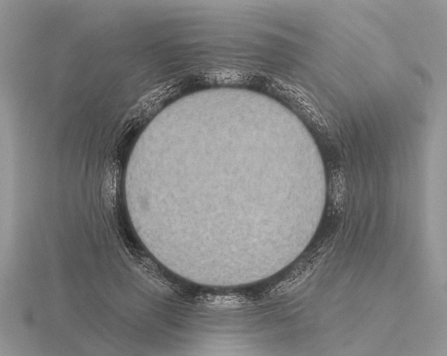 X0000115670645200912101113