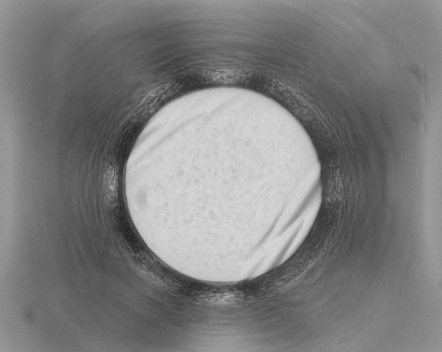 X0000115670646200912101113