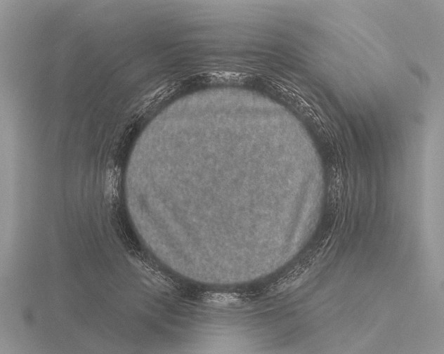 X0000115670649200912101113