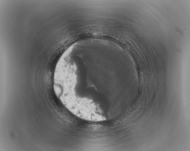 X0000115670650200912101113