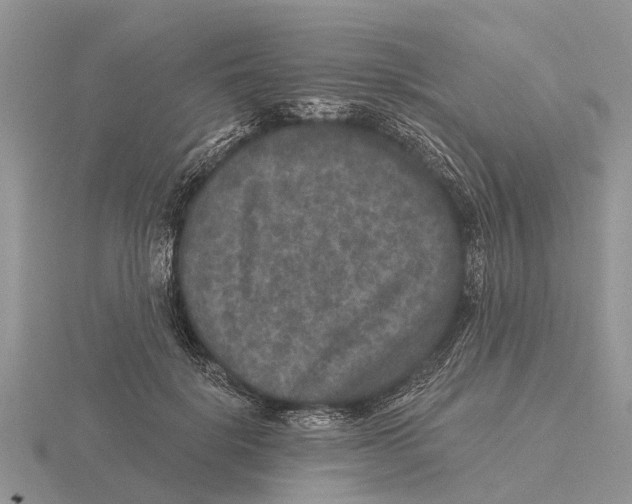 X0000115670652200912101113