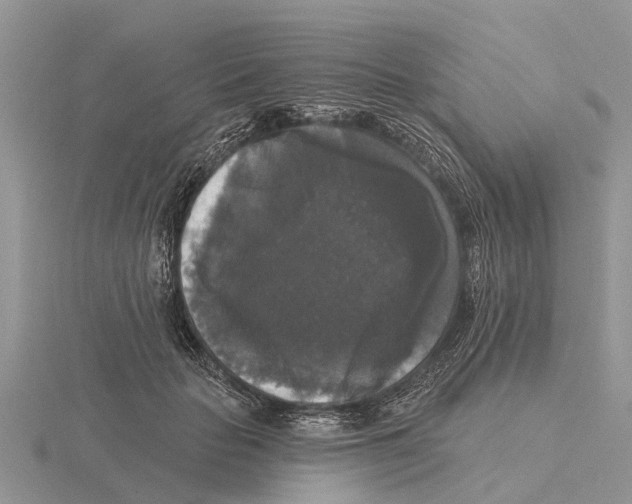 X0000115670653200912101113