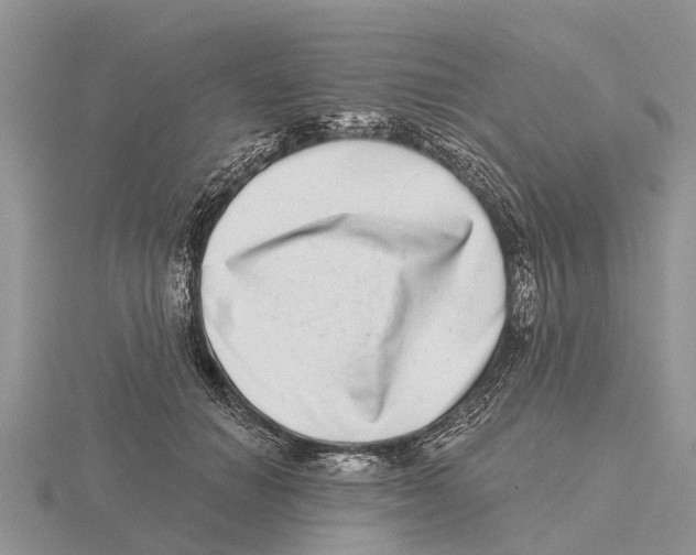 X0000115670654200912101113