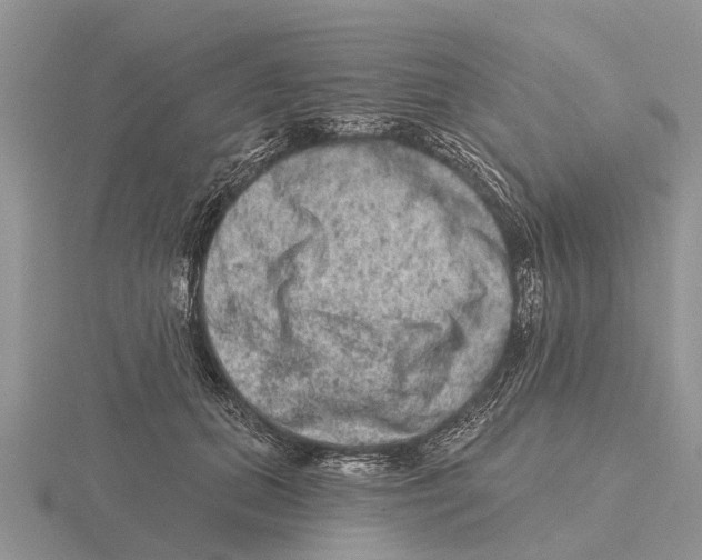 X0000115670655200912101113