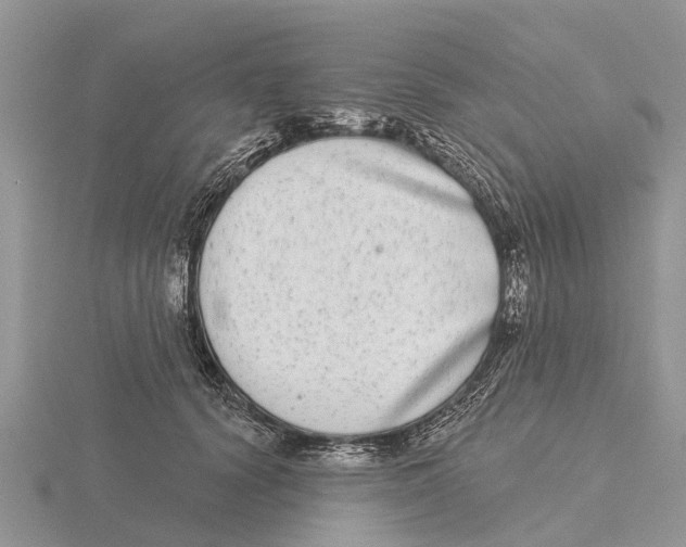 X0000115670656200912101113