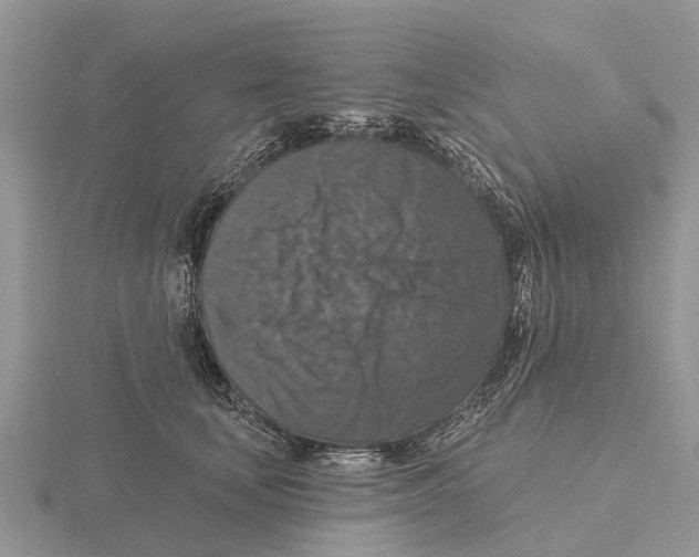 X0000115670659200912101113