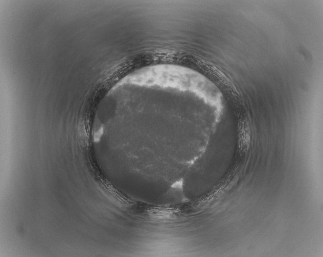 X0000115670661200912101113