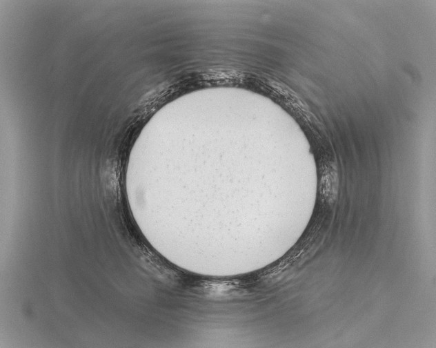 X0000115670662200912101113