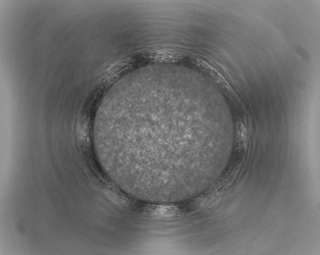 X0000115670663200912101113