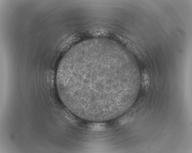 X0000115670664200912101113