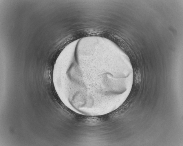 X0000115670666200912101113