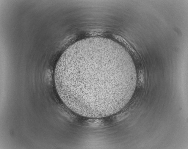 X0000115670667200912101113