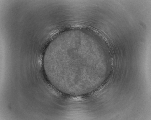 X0000115670668200912101113