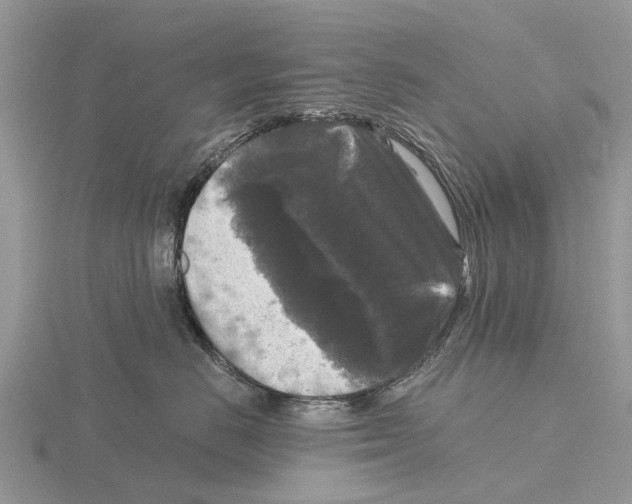 X0000115670670200912101113