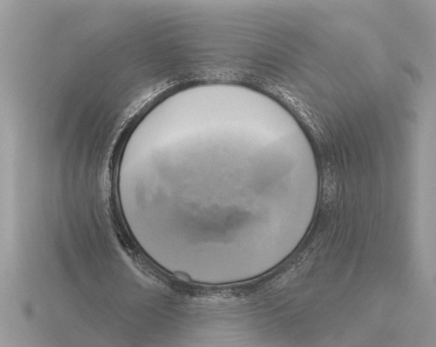 X0000115670674200912101113