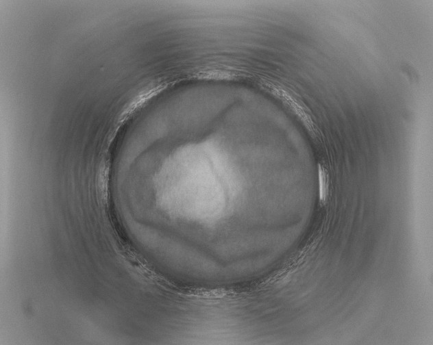 X0000115670675200912101113