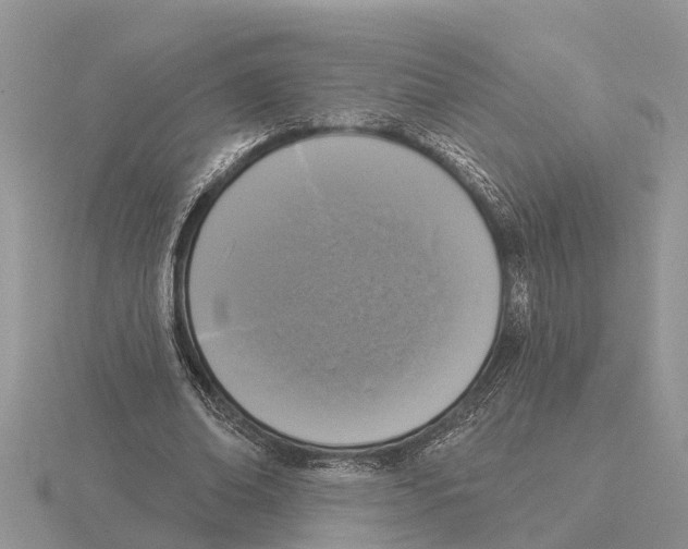 X0000115670678200912101113