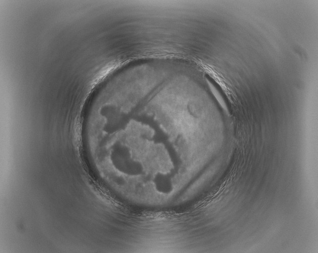 X0000115670679200912101113