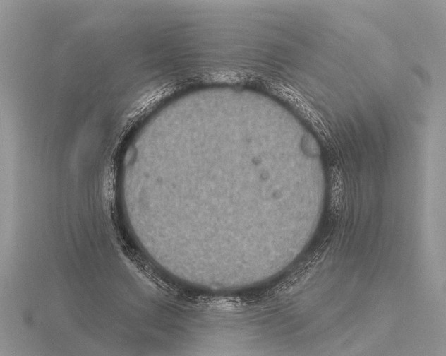 X0000115670683200912101112