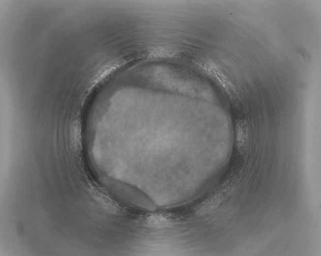 X0000115670684200912101112