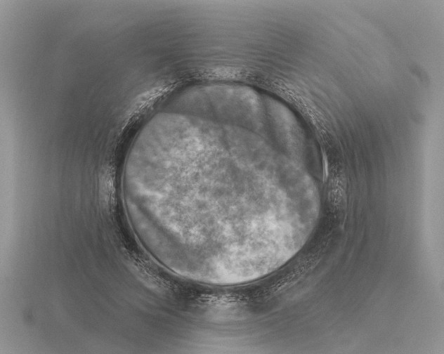 X0000115670688200912101112