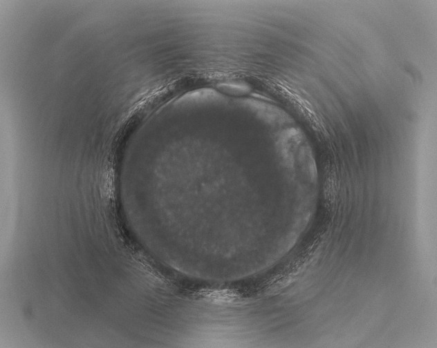 X0000115670689200912101112