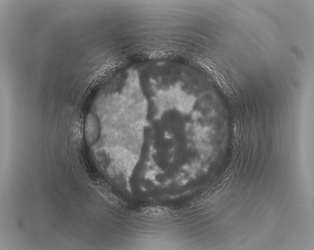 X0000115670691200912101112