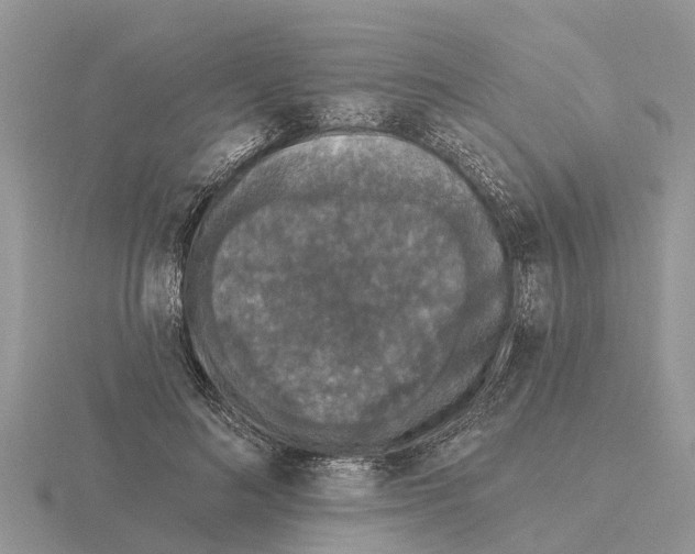 X0000115670692200912101112