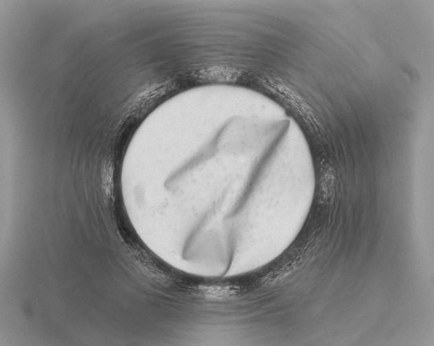 X0000115670693200912101112