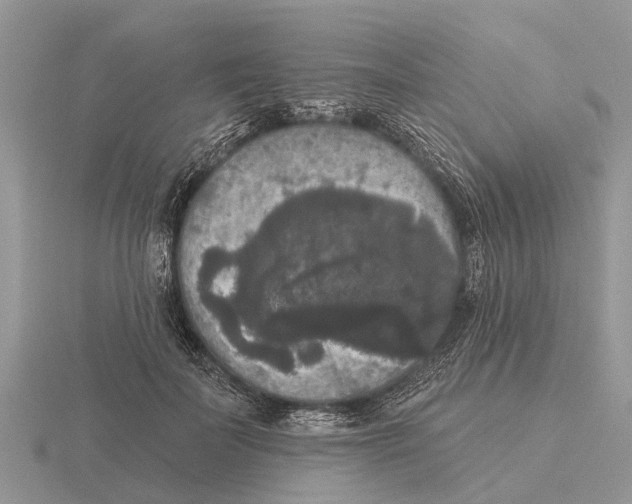 X0000115670699200912101112