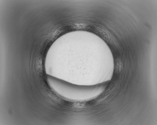 X0000115670700200912101112