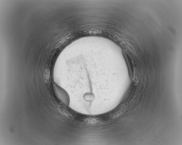 X0000115670704200912101112