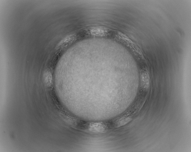 X0000115670705200912101112