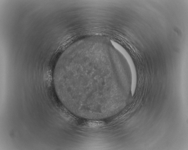 X0000115670707200912101112